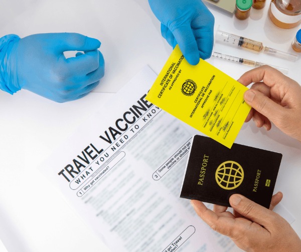 AI Vaccine Advisor