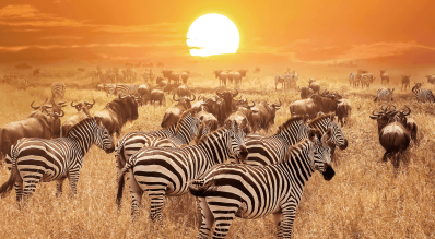 Tanzania